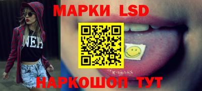 гашик Моздок