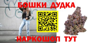 гашик Моздок