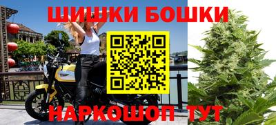 гашик Моздок