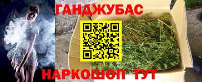 гашик Моздок