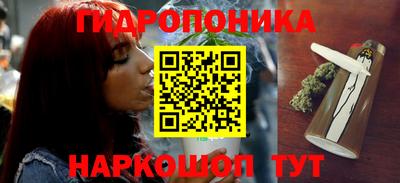 хмурый Можга