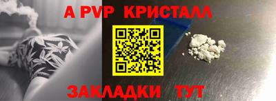 гашик Моздок