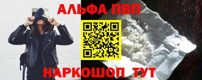 гашик Моздок