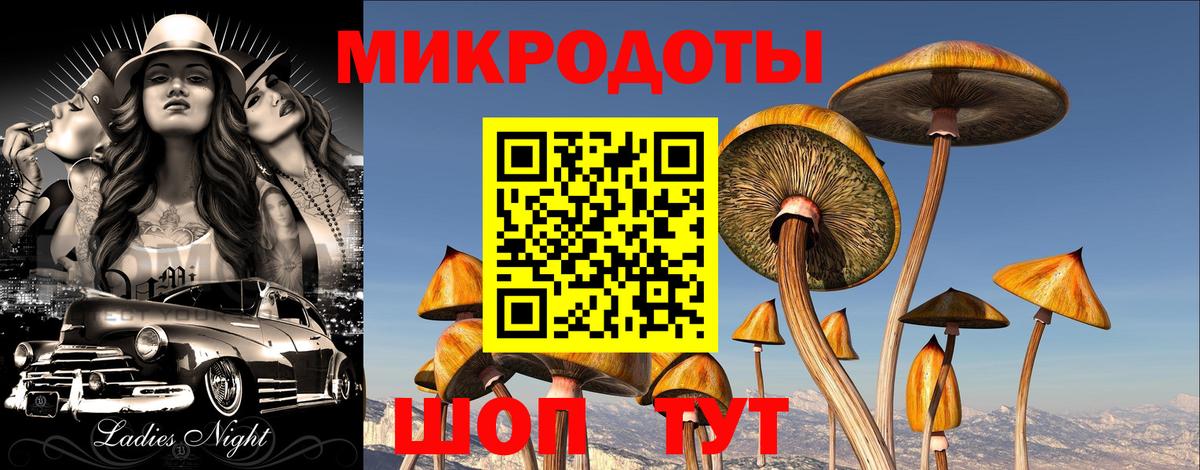 Галлюциногенные грибы Magic Shrooms Рязань