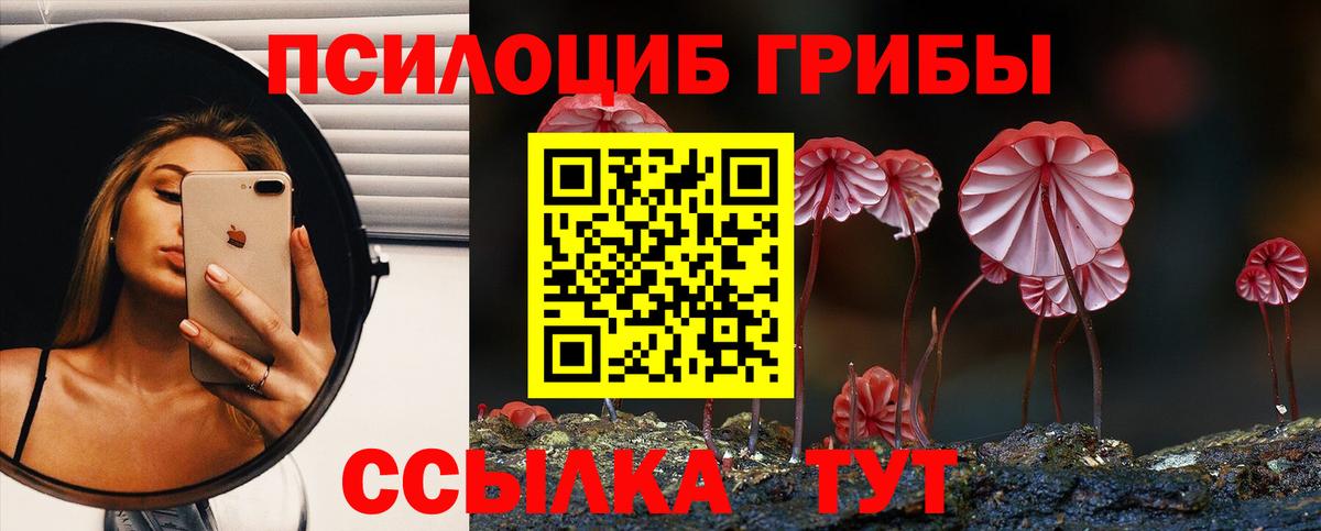 хочу   Вход с VPN  Рязань  Псилоцибиновые грибы Cubensis 